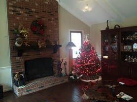 First Christmas in our new NC home.JPG